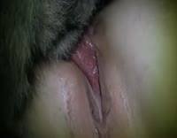 Zoo филка дала собаке как сучка