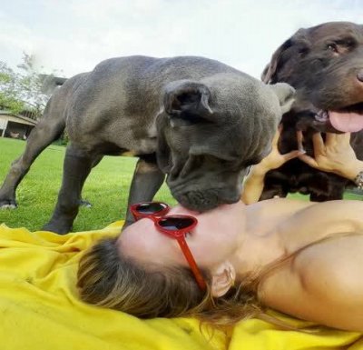 НОВИНКА ЗООПОРНО HD вечеринка Вероники с собаками